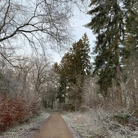 Mit Garten Am Wald * בארסינגהאוזן