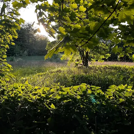 דירה Mit Garten Am Wald