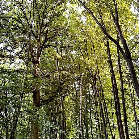 Mit Garten Am Wald דירה *
