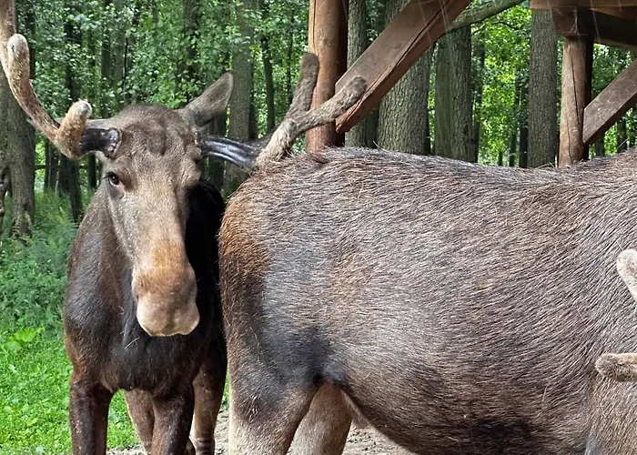 Apartman Mit Garten Am Wald