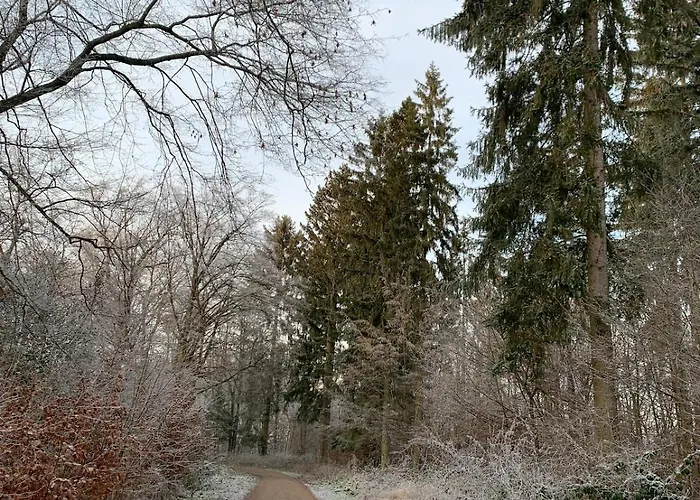 Mit Garten Am Wald * Barsinghausen