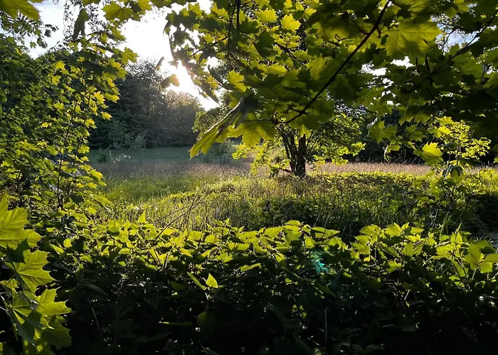 Apartman Mit Garten Am Wald